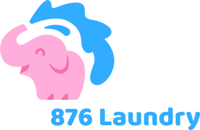 876 Laundry Lab